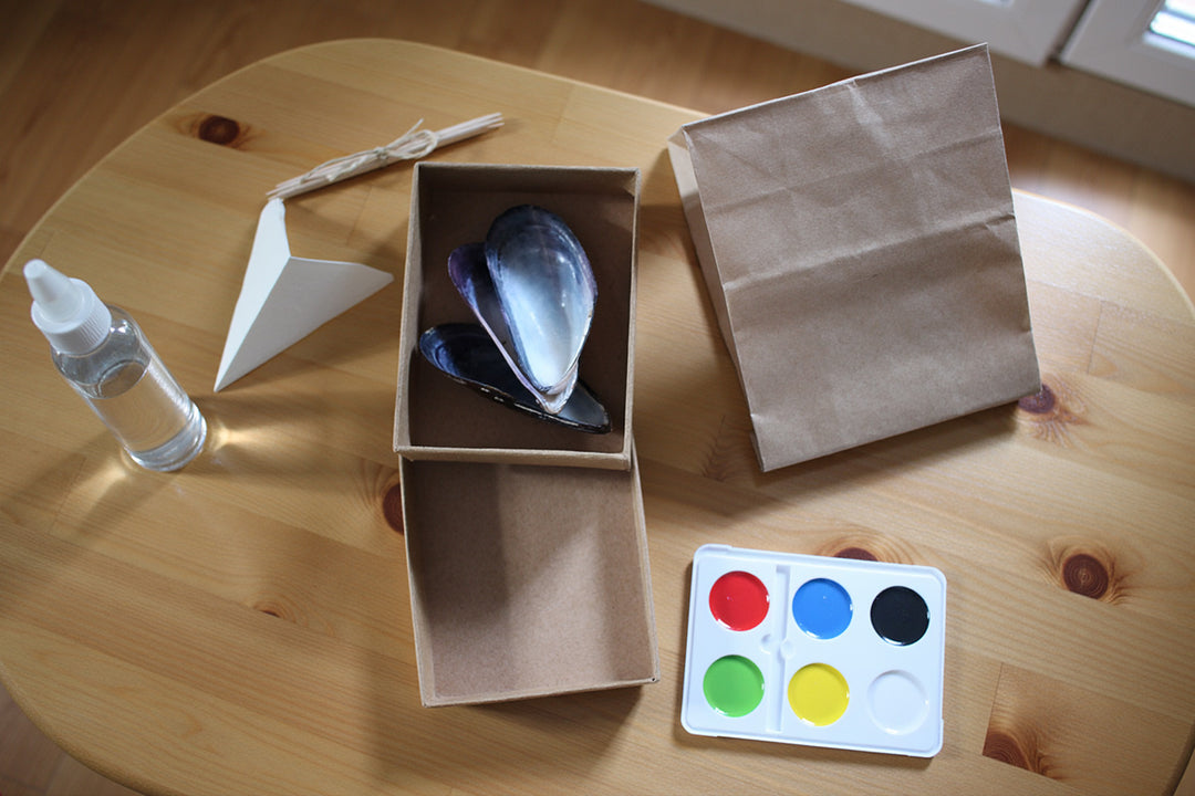 Miesmuschelschiffchen-Selbstbauset