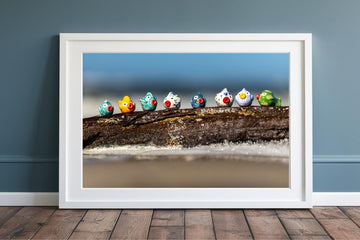 Kunstdruck "Treibholzfische"